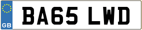 Truck License Plate